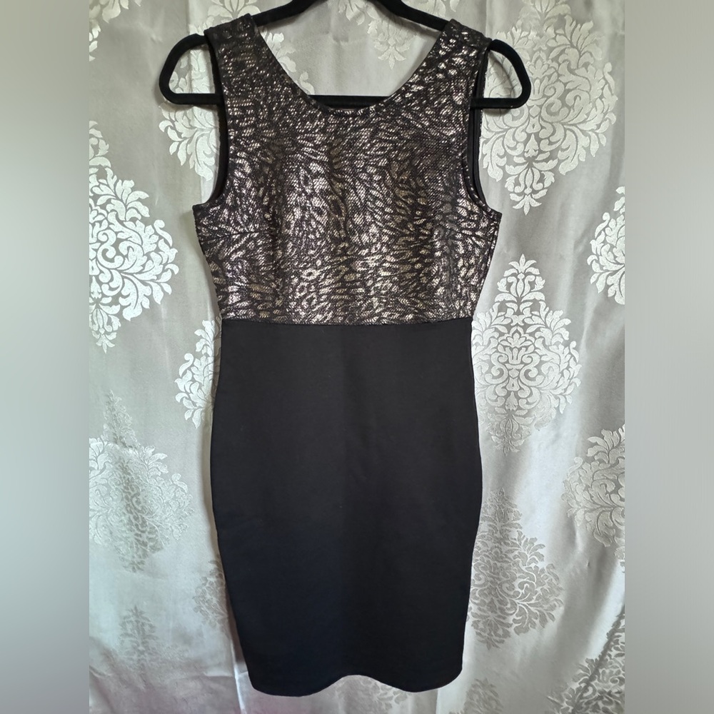 Vizio bodycon party dress